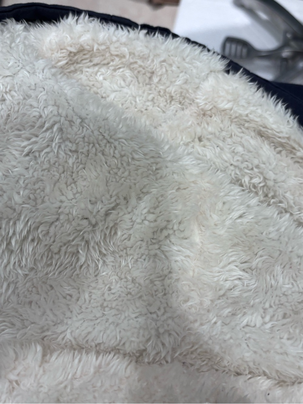 Jacket - Picture 5 of 5
